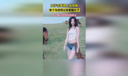 草女人视频,探寻自然与女性的神秘联系